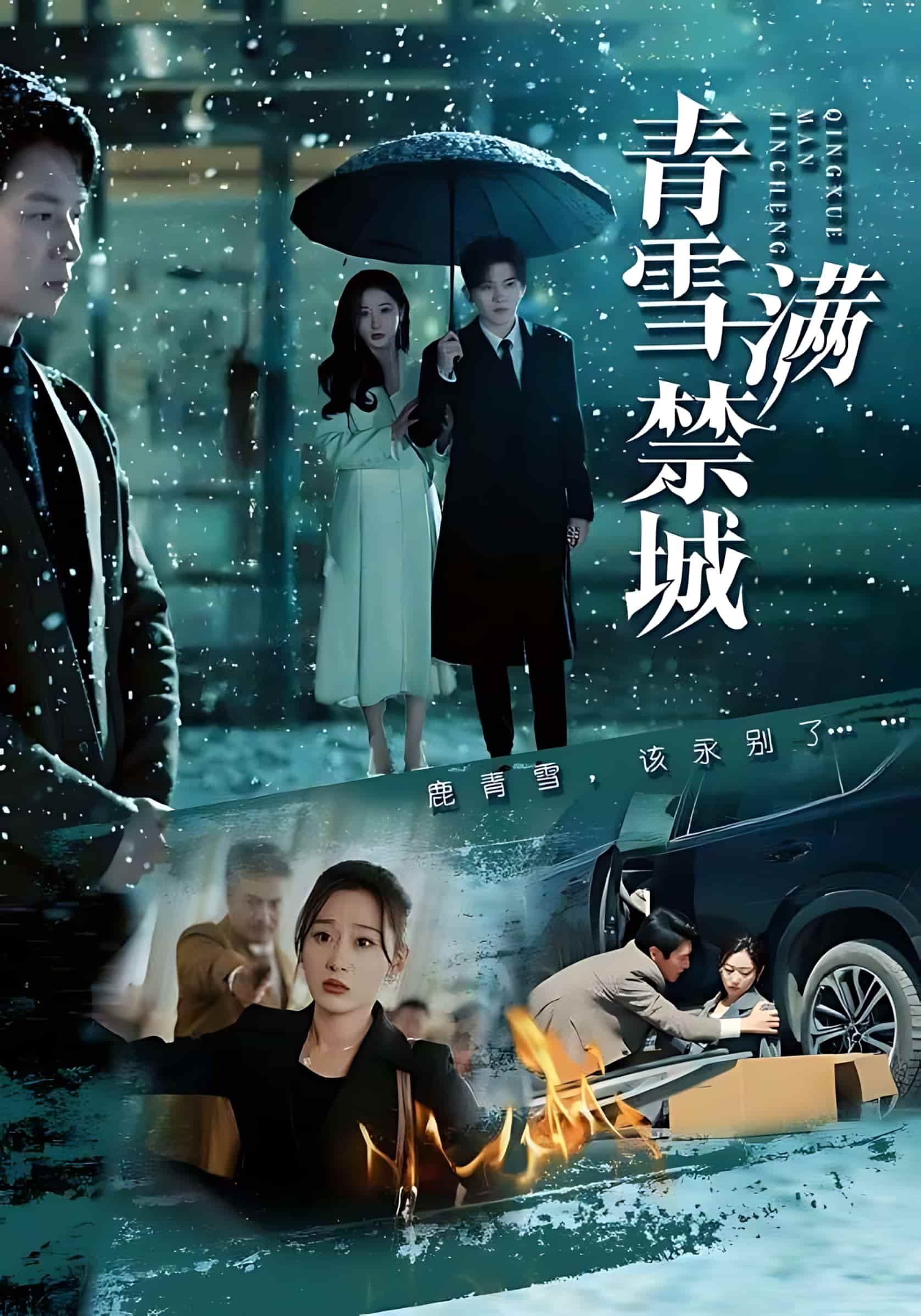 短剧《青雪满禁城》免费看高清全集，大结局震撼揭晓