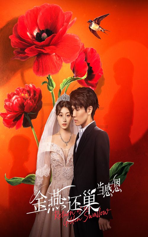 短剧 《金燕还巢当感恩》 高清完整全集免费在线观看无广告，金燕还巢时感恩