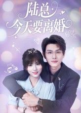 短剧 《陆总今天要离婚》 高清无删减全集完整版免费在线播放，陆总离婚高清全集在线观看