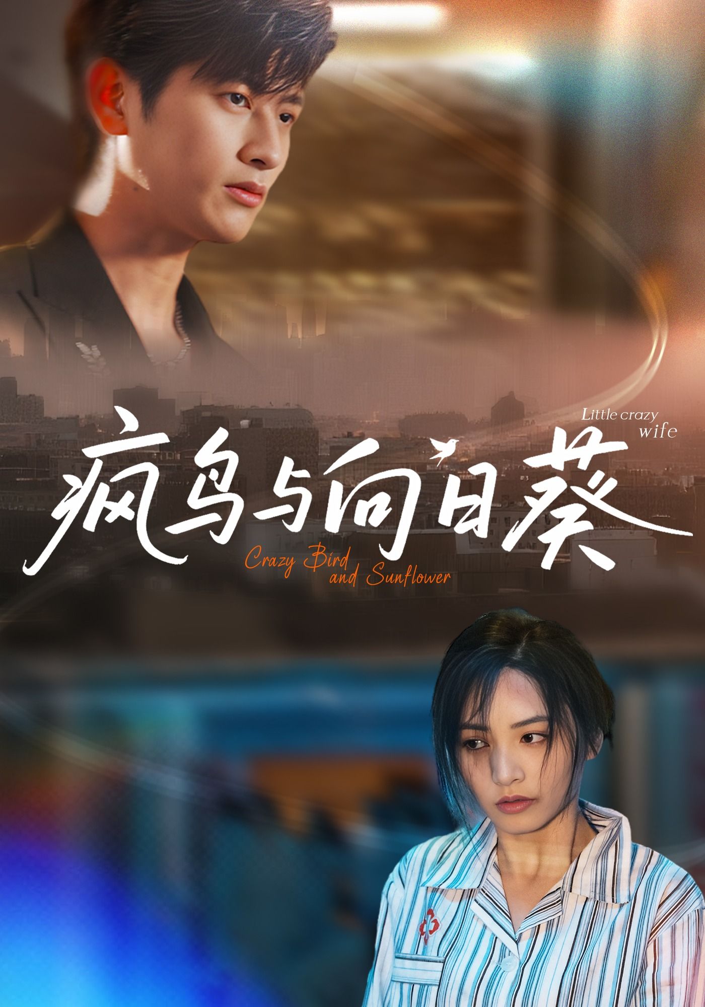 短剧 《疯鸟与向日葵》 超高清全集完整版免费在线播放