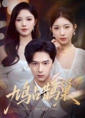 短剧 《鸠占鹊巢_顶流夫人的致命陷阱》 高清完整全集无删减版免费在线观看  第1张 短剧 《鸠占鹊巢_顶流夫人的致命陷阱》 高清完整全集无删减版免费在线观看  第1张