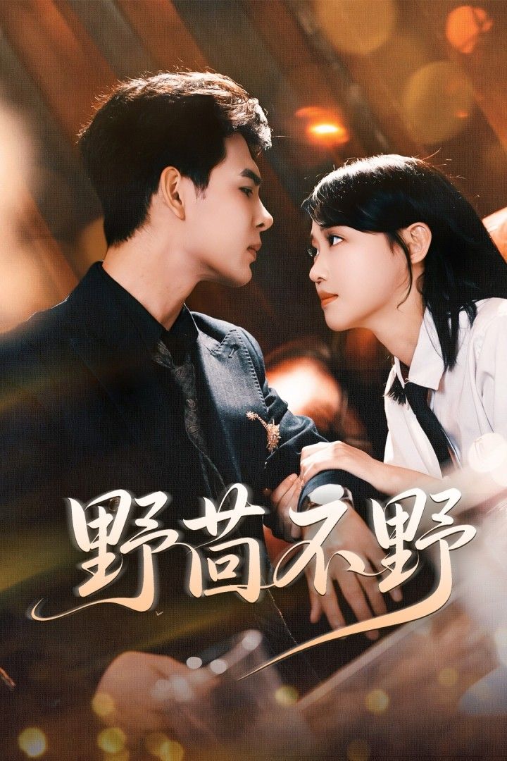 短剧野茴不野高清完整全集无删减版，在线免费播放，即刻追更！