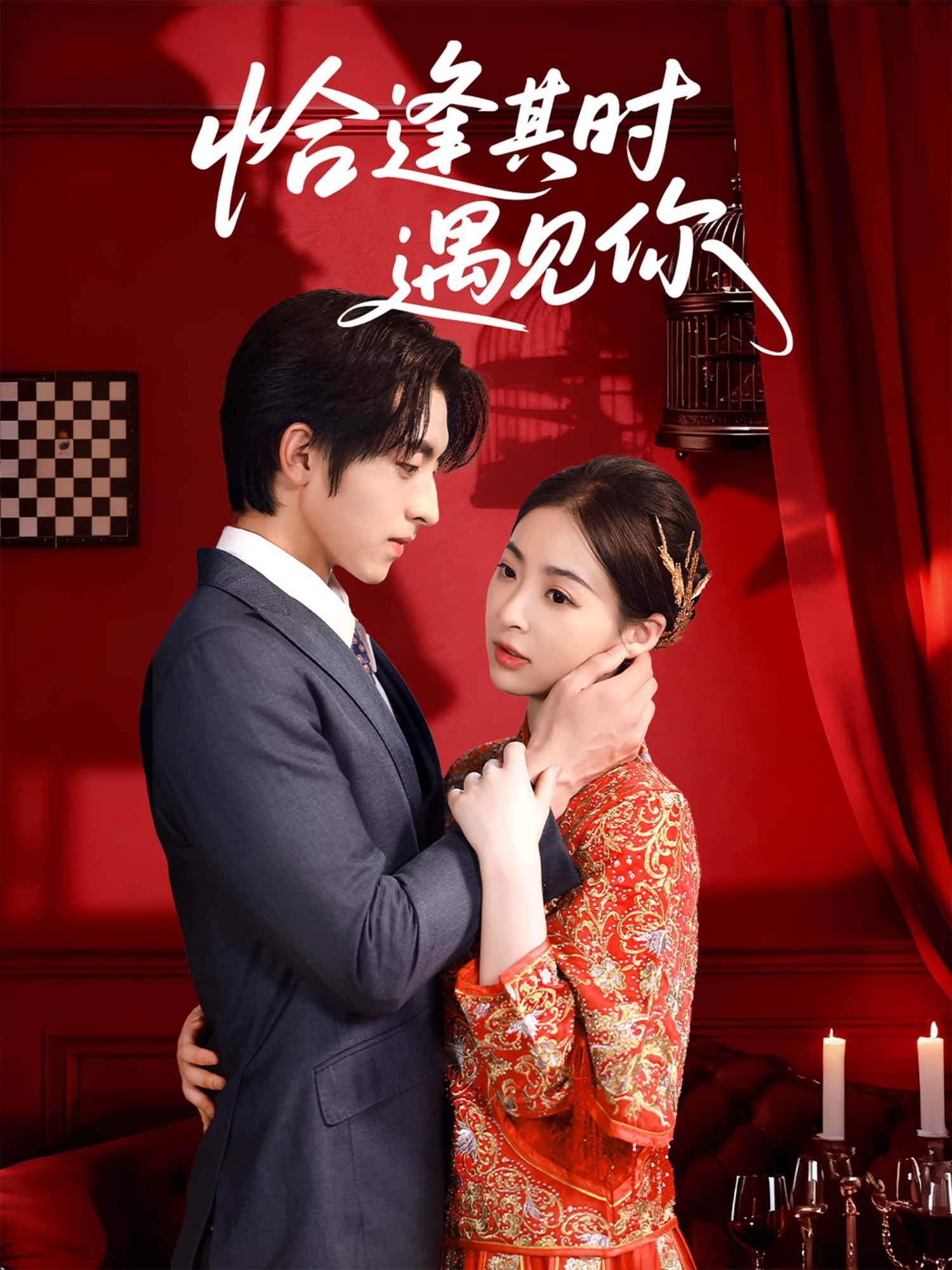 短剧恰逢其时遇见你可免费在线观看HD高清全集版，完整剧情随时畅享。  第1张