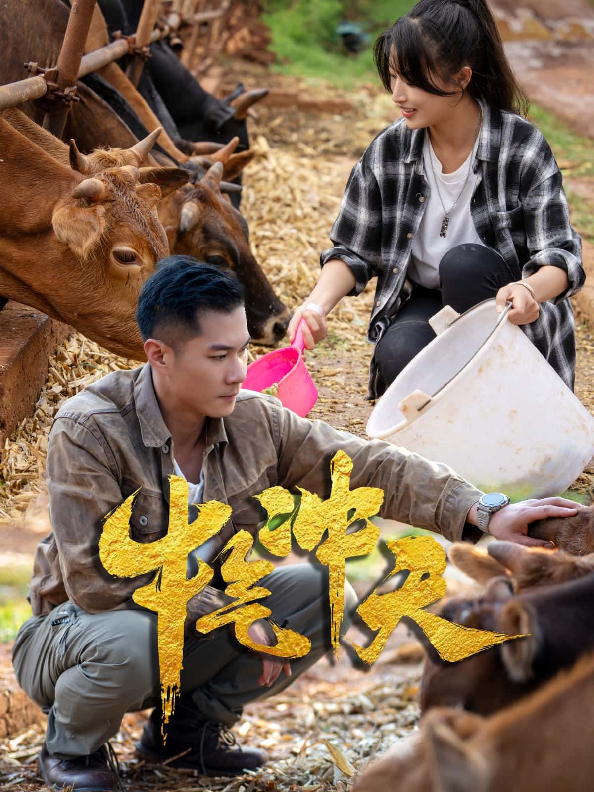 短剧牛气冲天高清全集完整版，免费在线看！  第1张