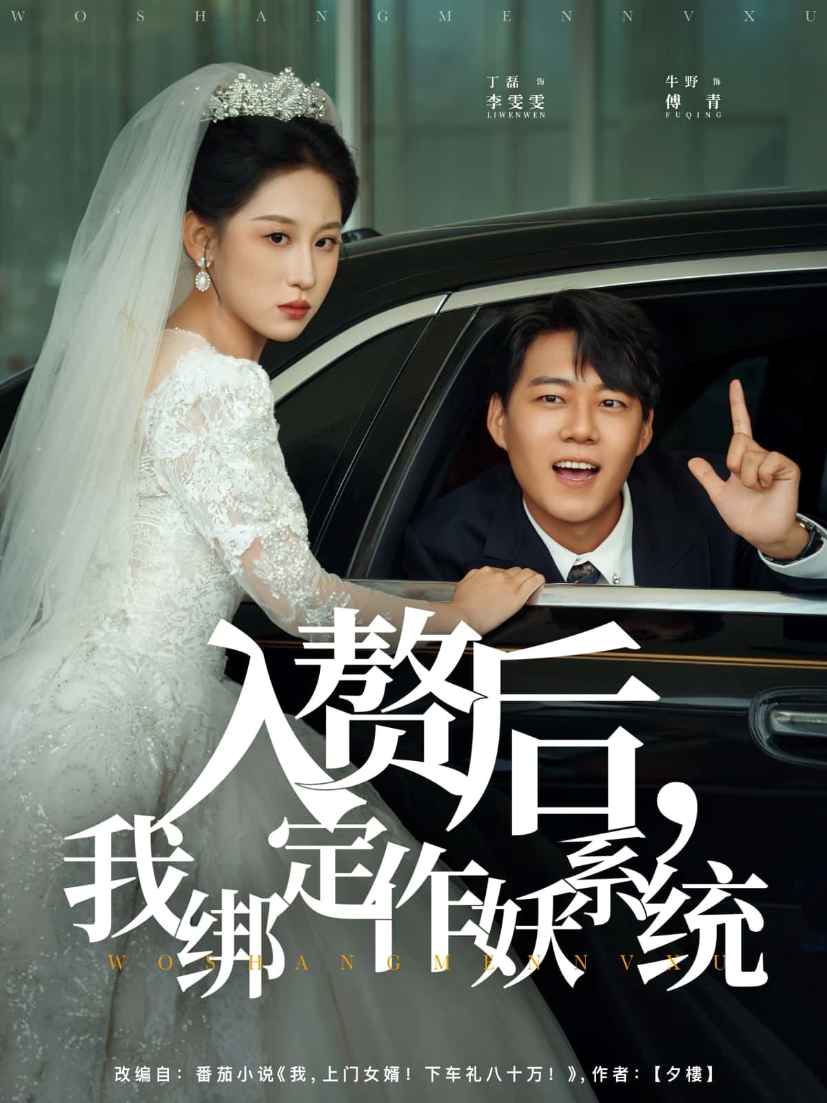 短剧入赘后，我绑定作妖系统HD高清全集无删减版在线看，入赘逆袭作妖爽不停！  第1张