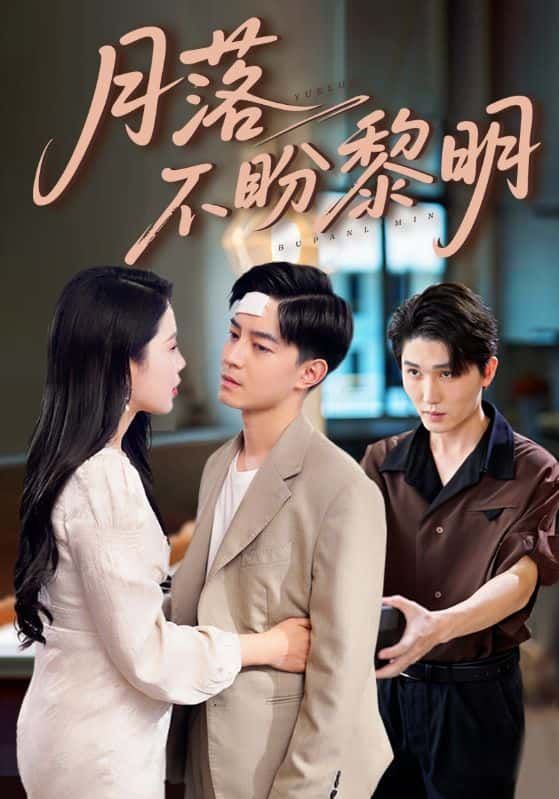 短剧月落不盼黎明超高清全集完整版，在线观看即刻解锁！