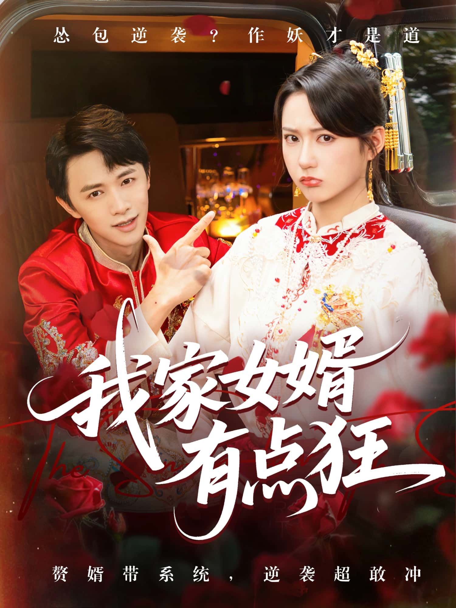 短剧我家女婿有点狂HD超高清全集完整版在线观看  第1张