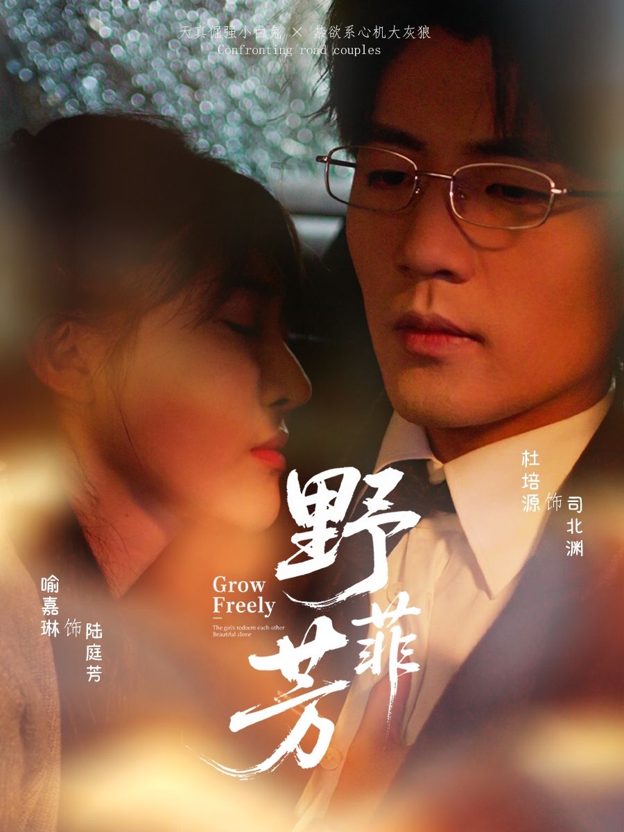短剧野芳菲HD高清无删减全集在线播放，1080P超清画质流畅观看，精彩内容一键直达。  第1张