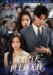 短剧离婚当天世上再无我超高清全集在线播放，离婚当日我消失，情感冲击直击人心。  第1张