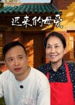 短剧迟来的母爱在线播放高清全集无删减版HD，立即观看清晰流畅版。