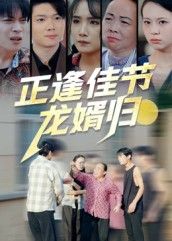 正逢佳节龙婿归高清全集完整版无删减在线播放，龙婿佳节归，高清无删减全集在线播放。