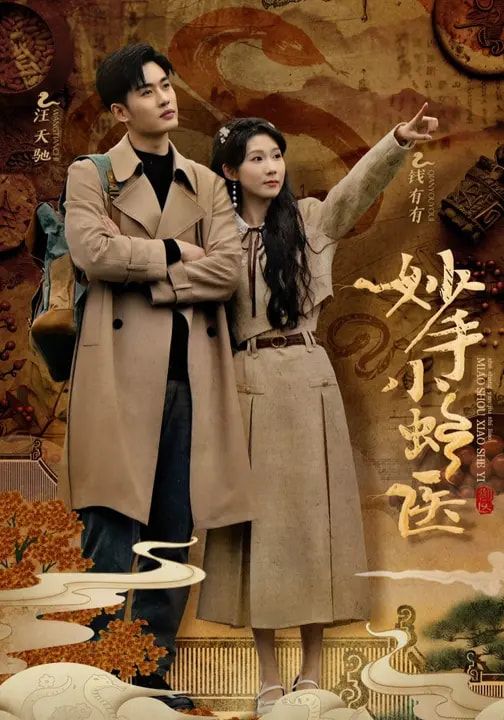 妙手小蛇医HD高清无删减全集在线，1080P超清，蛇医妙手救世奇情尽收！