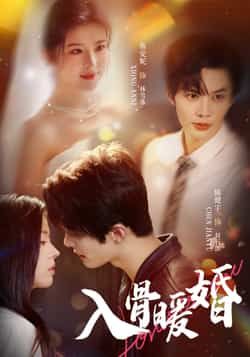 入骨暖婚短剧在线观看，超高清全集完整版，免费热播更新中！