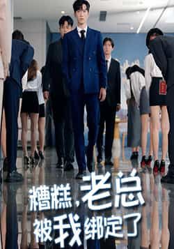 短剧糟糕老总被我绑定了超高清无删减全集完整版在线播放