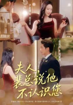 热门短剧夫人裴总说他不认识您（75集）张淇皓、尹晨攒主演，全集未删减免费看，百度夸克网盘资源下载。