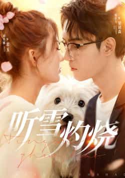 热门短剧听雪灼烧（68集）希尔力、刘美娜主演，全集完整版免费在线观看未删减，百度夸克网盘资源分享下载。