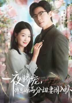 热门短剧一夜娇宠，傅总的满分甜妻闯入怀全集完整版免费稳定在线观看，未删减版百度网盘夸克网盘资源分享下载。  第1张