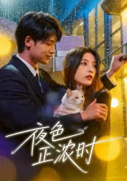 热门短剧夜色正浓时全集完整版实时更免费在线观看,未删减版百度夸克网盘资源分享下载