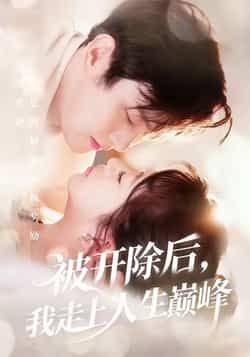 热门短剧被开除后,我走上人生巅峰全集完整版免费观看未删减,百度网盘夸克网盘免费资源分享下载。