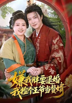 嫌我胖要退婚,我捡个王爷当赘婿全集超清未删减免费看,百度夸克网盘资源分享下载。