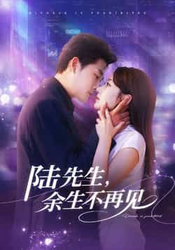 热门短剧陆先生，余生不再见全集完整版高清未删减，免费在线观看，百度夸克网盘资源分享下载。  第1张