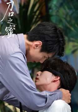 热门短剧刀口之蜜全集完整版免费在线观看未删减，百度网盘、夸克网盘免费资源分享下载。