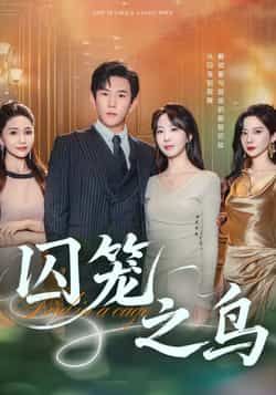 热门短剧囚笼之鸟全集完整版免费在线观看未删减，百度网盘、夸克网盘免费分享下载。