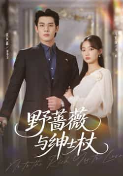 热门短剧野蔷薇与绅士杖全集完整版免费无卡顿在线观看，未删减版百度夸克网盘资源分享下载。  第1张