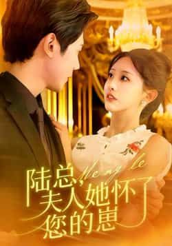 短剧陆总,夫人她怀了您的崽全集完整版稳定免费在线观看,百度夸克网盘未删减资源下载。 第1张 短剧陆总,夫人她怀了您的崽全集完整版稳定免费在线观看,百度夸克网盘未删减资源下载。 第1张