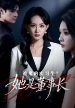 热门短剧被甩的实习生？她是董事长！最新全集完整版未删减，免费在线观看，百度网盘夸克网盘资源分享下载。