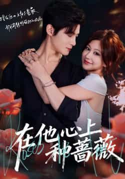 热门短剧在他心上种蔷薇全集最新完整版免费在线观看未删减,百度夸克网盘资源分享下载。