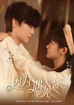 热门短剧因为遇见你全集更新完毕，未删减版免费在线观看，百度夸克网盘资源分享下载。  第1张