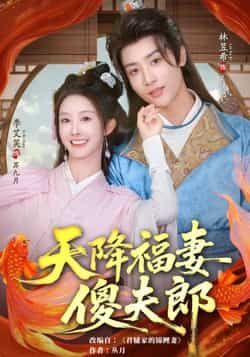 热门短剧天降福妻傻夫郎全集完整版免费在线观看，百度网盘、夸克网盘未删减资源分享下载。  第1张