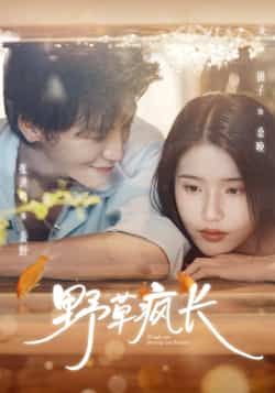 热剧野草疯长全集完结,免费看未删减版,百度夸克网盘免费资源下载。