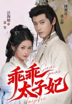 热门短剧乖乖太子妃全集超清未删减版,免费在线观看,百度夸克网盘资源分享下载,速戳!